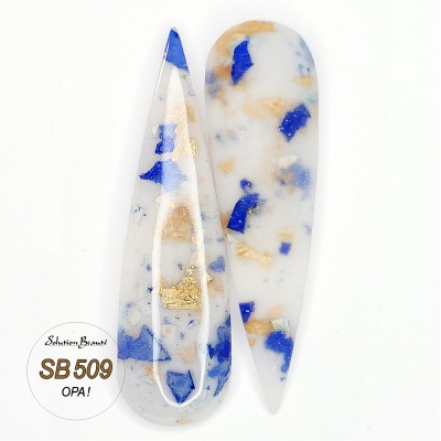 sb509-3